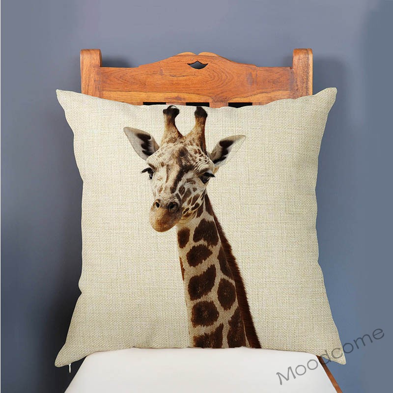 Cute Baby Setting Nursery Art  - Baby Zebra Nursery ulasan dan harga